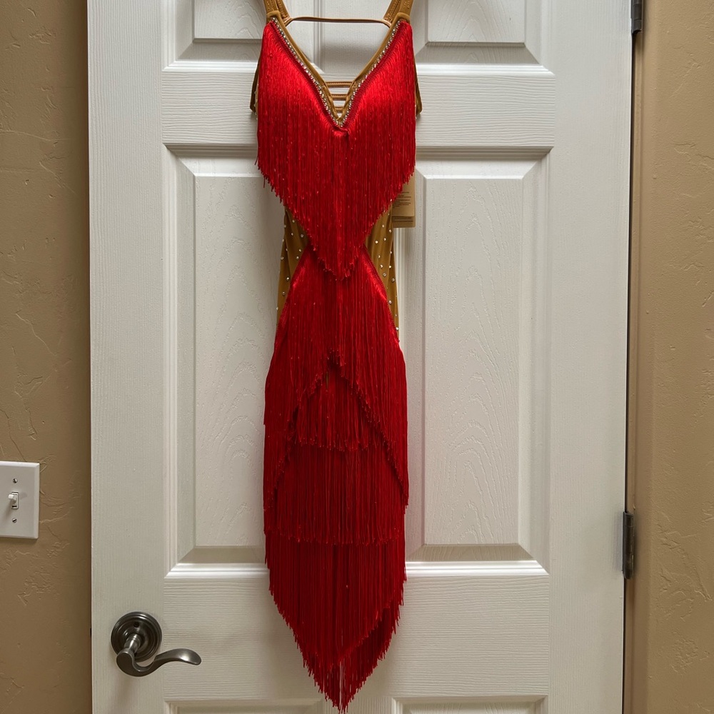 Stunning Dance Costume